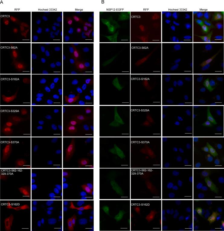 https://cdn.ncbi.nlm.nih.gov/pmc/blobs/7cd1/11963146/57f6347f8971/figs5.jpg