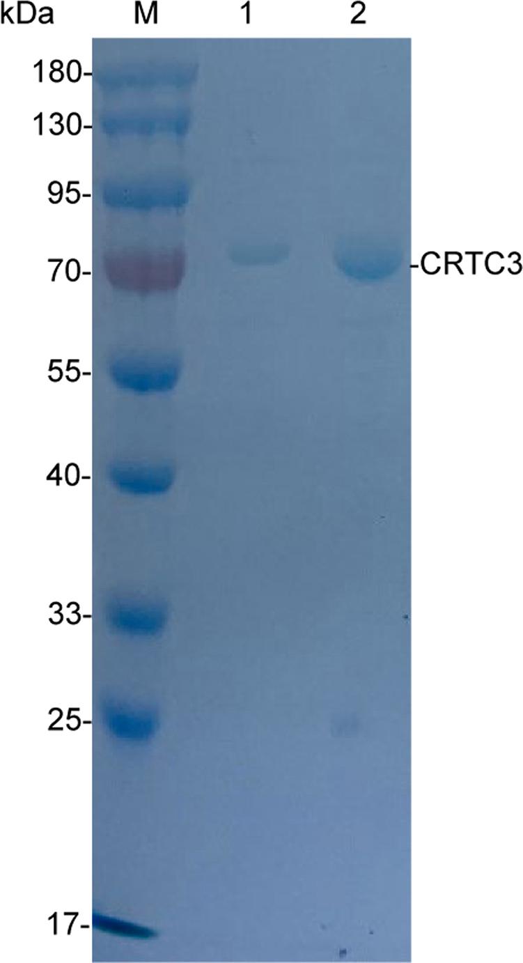 https://cdn.ncbi.nlm.nih.gov/pmc/blobs/7cd1/11963146/61f1ee071252/figs4.jpg