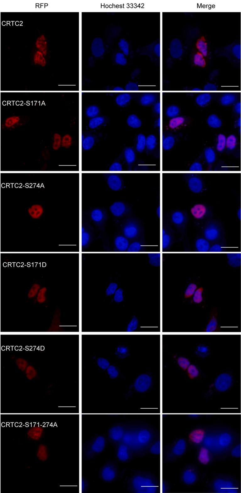 https://cdn.ncbi.nlm.nih.gov/pmc/blobs/7cd1/11963146/688fa77f2464/figs11.jpg