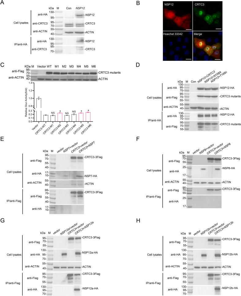 https://cdn.ncbi.nlm.nih.gov/pmc/blobs/7cd1/11963146/a06252a9d4aa/gr3.jpg