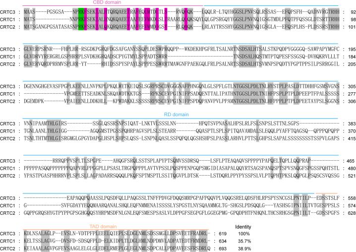 https://cdn.ncbi.nlm.nih.gov/pmc/blobs/7cd1/11963146/a4d1a8e4e36b/figs10.jpg