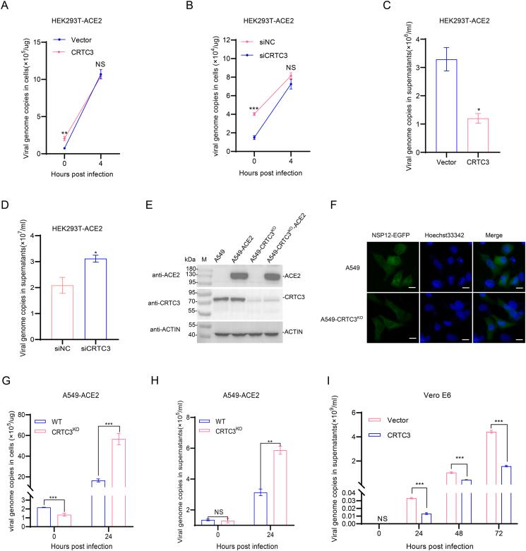 https://cdn.ncbi.nlm.nih.gov/pmc/blobs/7cd1/11963146/fa6b36341285/gr2.jpg
