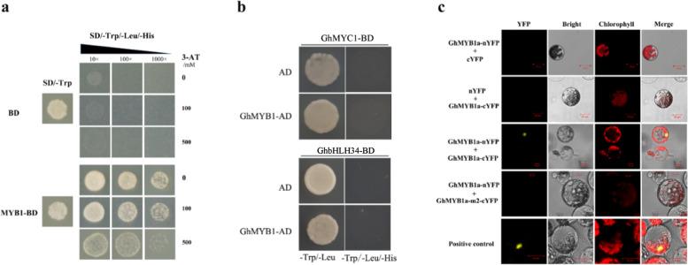 https://cdn.ncbi.nlm.nih.gov/pmc/blobs/7cd3/7237480/520d6a14ed4e/41438_2020_296_Fig6_HTML.jpg