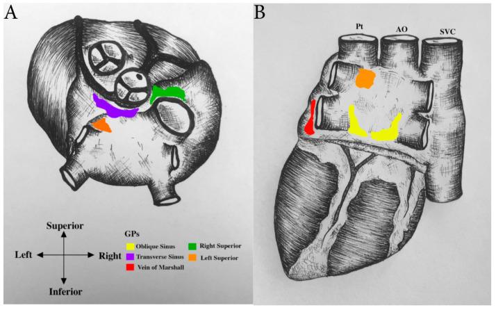 https://cdn.ncbi.nlm.nih.gov/pmc/blobs/7cd3/7598705/1634c85a1d07/jcm-09-03081-g004.jpg