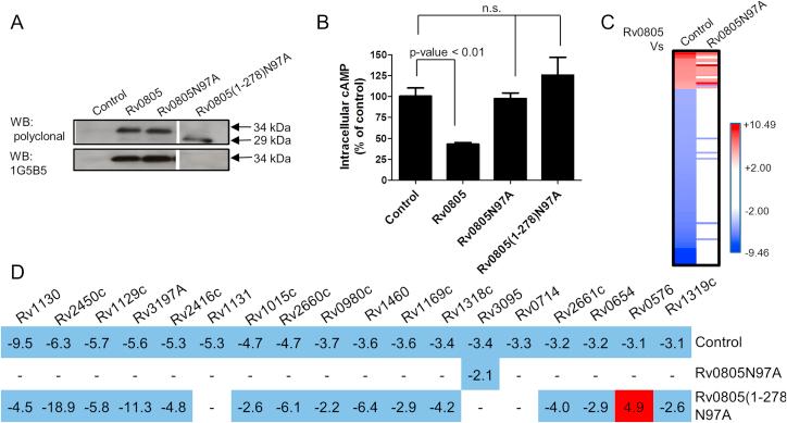 https://cdn.ncbi.nlm.nih.gov/pmc/blobs/7cd4/3776917/488a863250c1/gr3.jpg