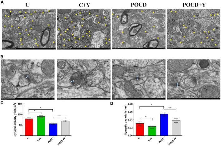 https://cdn.ncbi.nlm.nih.gov/pmc/blobs/7cd4/9485610/df2d84276b48/fnagi-14-996223-g006.jpg