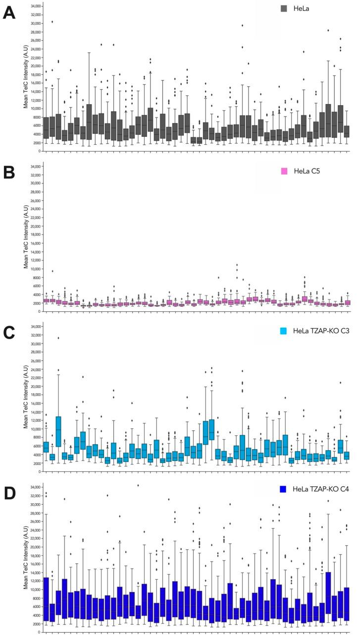 https://cdn.ncbi.nlm.nih.gov/pmc/blobs/7cd5/9505050/8b562c8efb6d/viruses-14-01864-g002.jpg