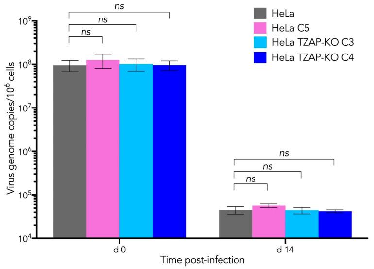 https://cdn.ncbi.nlm.nih.gov/pmc/blobs/7cd5/9505050/9049e1cf9c84/viruses-14-01864-g003.jpg