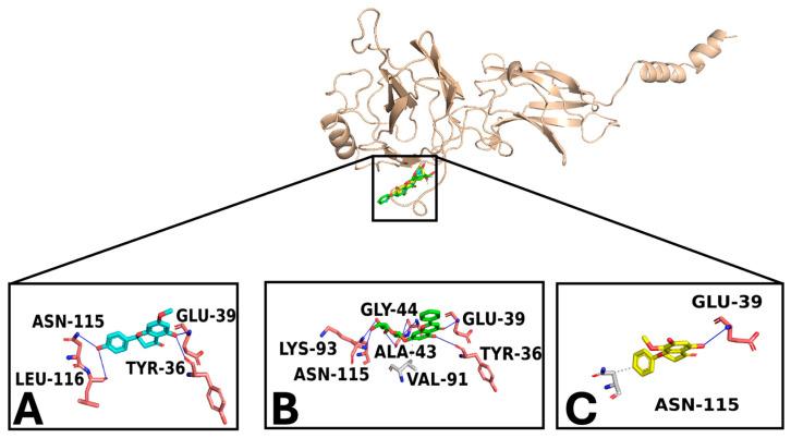https://cdn.ncbi.nlm.nih.gov/pmc/blobs/7cd6/12071293/2b3989217d55/foods-14-01523-g006.jpg