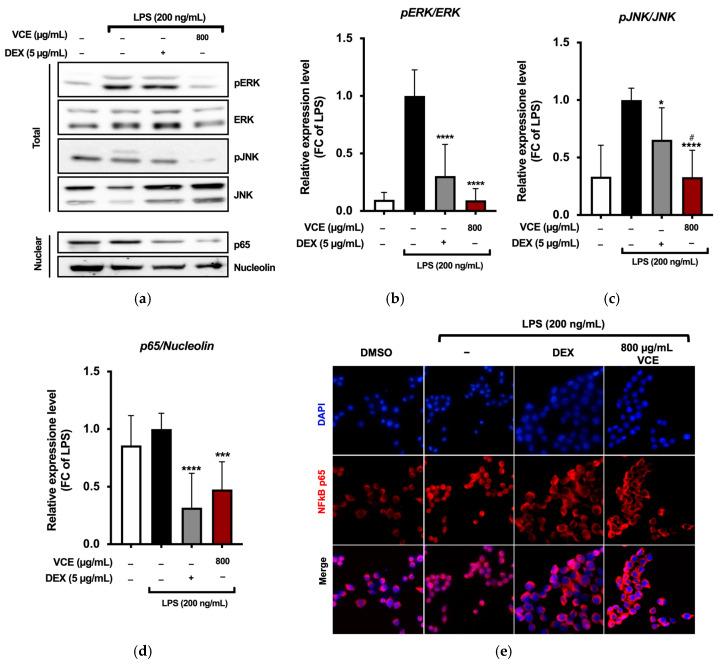 https://cdn.ncbi.nlm.nih.gov/pmc/blobs/7cd6/12071293/578680acdc47/foods-14-01523-g004.jpg