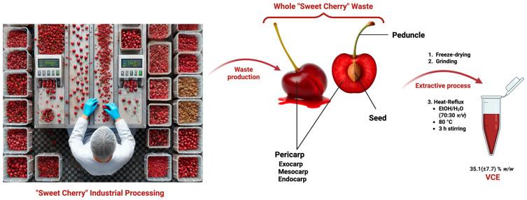 https://cdn.ncbi.nlm.nih.gov/pmc/blobs/7cd6/12071293/cfe8773b6b54/foods-14-01523-g001.jpg