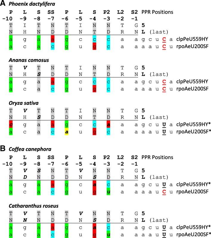 https://cdn.ncbi.nlm.nih.gov/pmc/blobs/7cd6/5992886/6f5c04074355/12862_2018_1203_Fig5_HTML.jpg