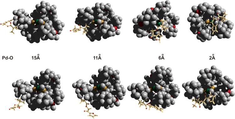 https://cdn.ncbi.nlm.nih.gov/pmc/blobs/7cd6/7076558/3ff276c35c42/gr5.jpg