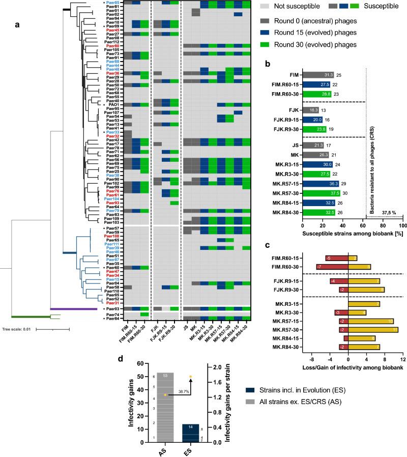 https://cdn.ncbi.nlm.nih.gov/pmc/blobs/7cd7/11450229/369db0781bc5/41467_2024_52595_Fig2_HTML.jpg