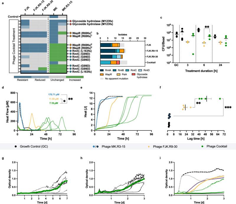 https://cdn.ncbi.nlm.nih.gov/pmc/blobs/7cd7/11450229/93f4db5a4cc3/41467_2024_52595_Fig6_HTML.jpg