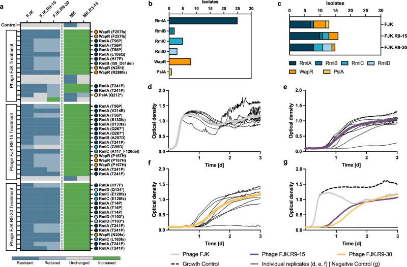 https://cdn.ncbi.nlm.nih.gov/pmc/blobs/7cd7/11450229/ab9706ba1017/41467_2024_52595_Fig5_HTML.jpg