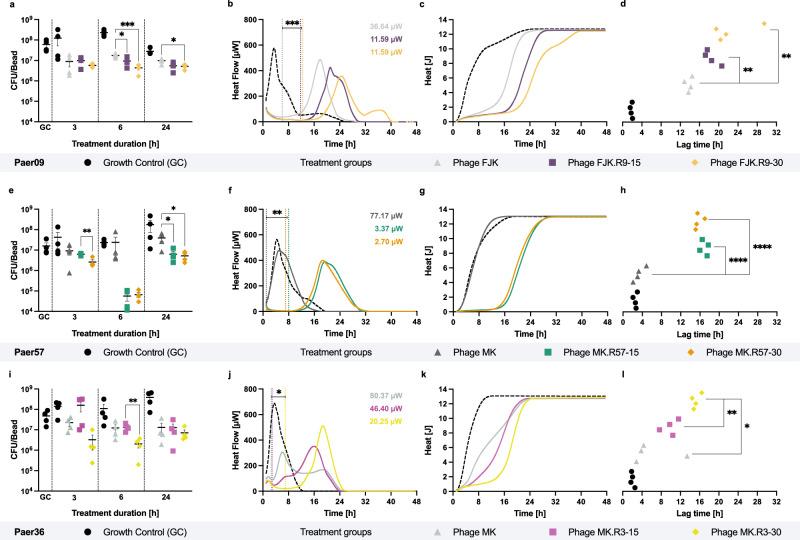 https://cdn.ncbi.nlm.nih.gov/pmc/blobs/7cd7/11450229/ebedad5df66f/41467_2024_52595_Fig3_HTML.jpg
