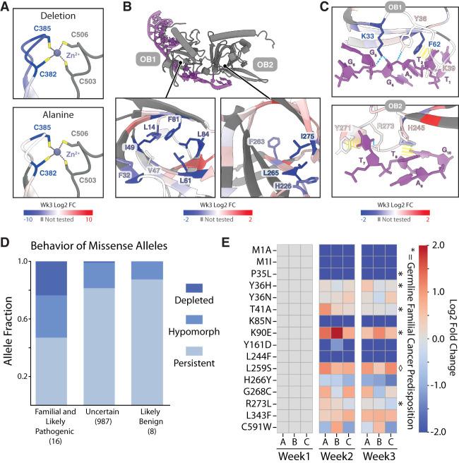 https://cdn.ncbi.nlm.nih.gov/pmc/blobs/7cd7/11960693/03f834423035/445f02.jpg