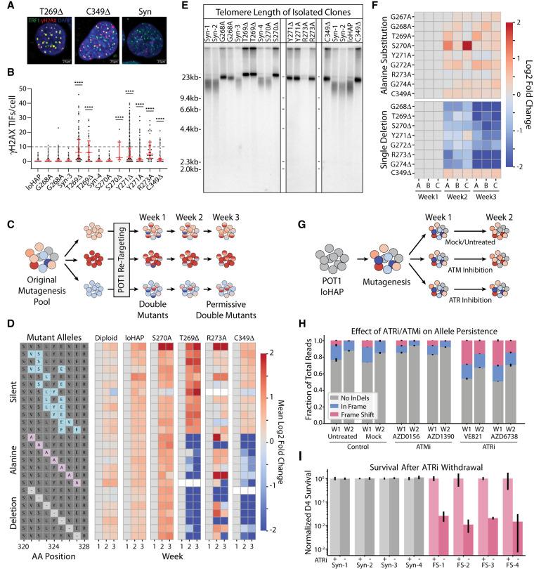 https://cdn.ncbi.nlm.nih.gov/pmc/blobs/7cd7/11960693/51d891c0f081/445f03.jpg