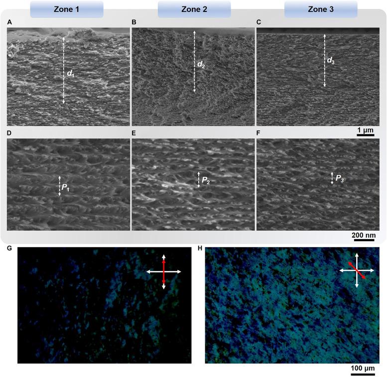 https://cdn.ncbi.nlm.nih.gov/pmc/blobs/7cd7/7892906/0e9d3dded628/fbioe-09-608965-g003.jpg