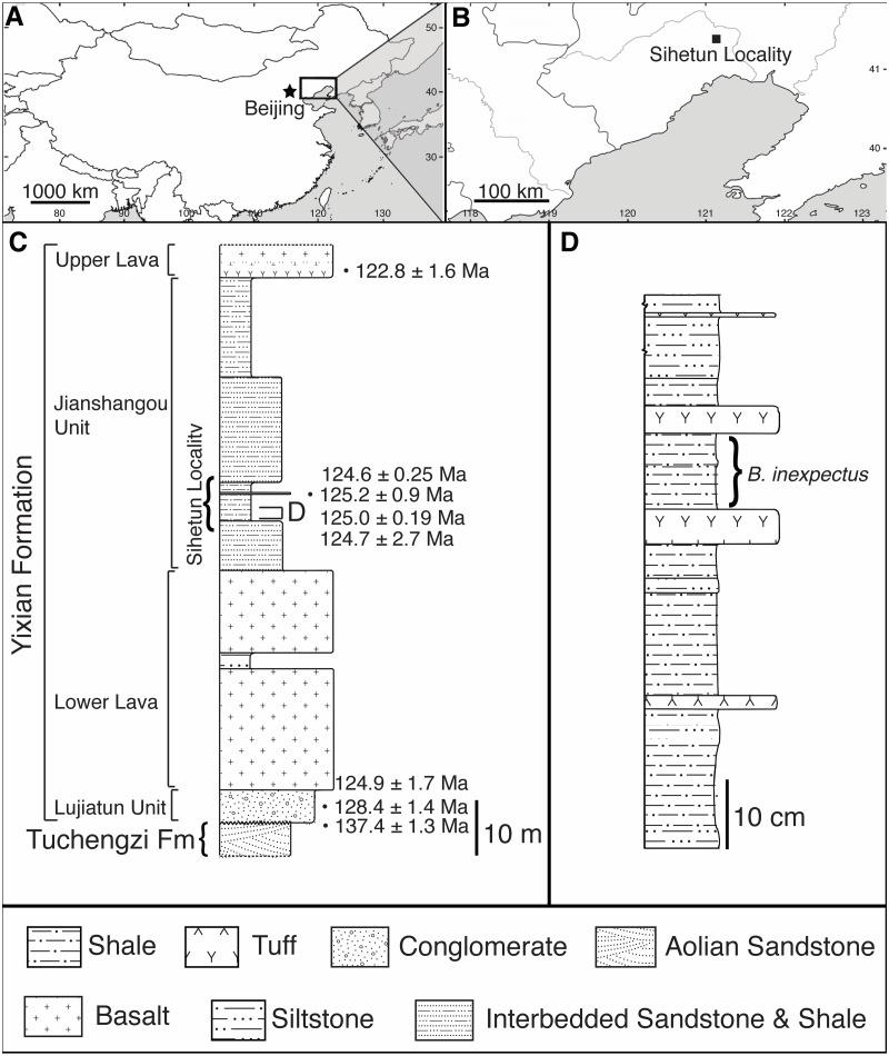 https://cdn.ncbi.nlm.nih.gov/pmc/blobs/7cd9/8684720/f312a40b0b89/peerj-09-12651-g001.jpg