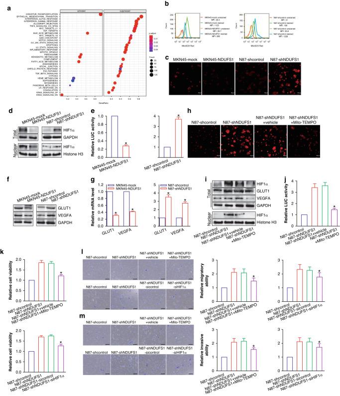 https://cdn.ncbi.nlm.nih.gov/pmc/blobs/7cdb/10575981/1bbc03b72e65/41416_2023_2409_Fig4_HTML.jpg