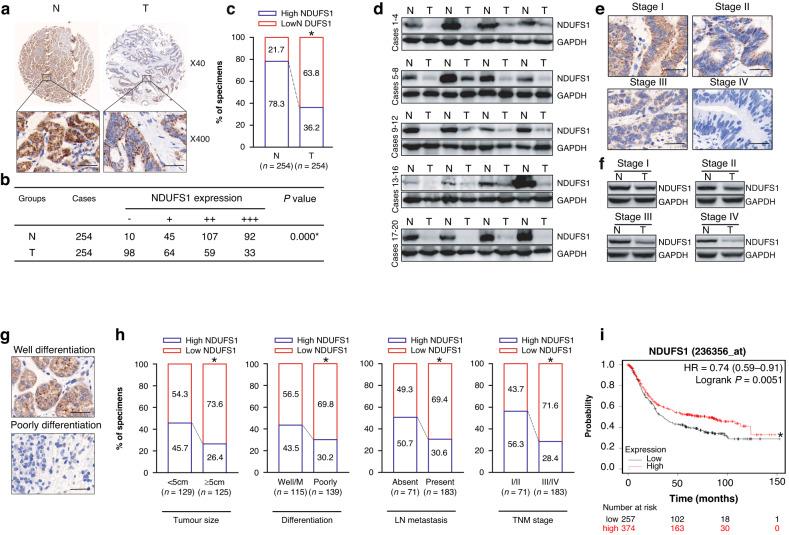 https://cdn.ncbi.nlm.nih.gov/pmc/blobs/7cdb/10575981/d9a6365176ca/41416_2023_2409_Fig1_HTML.jpg
