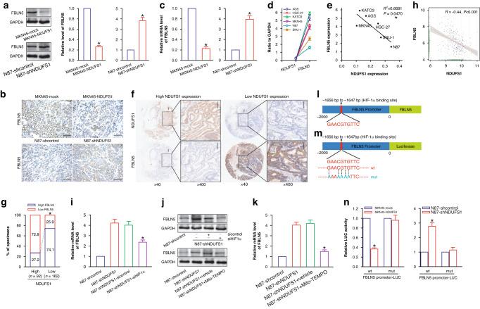 https://cdn.ncbi.nlm.nih.gov/pmc/blobs/7cdb/10575981/ff4e58ca462c/41416_2023_2409_Fig5_HTML.jpg