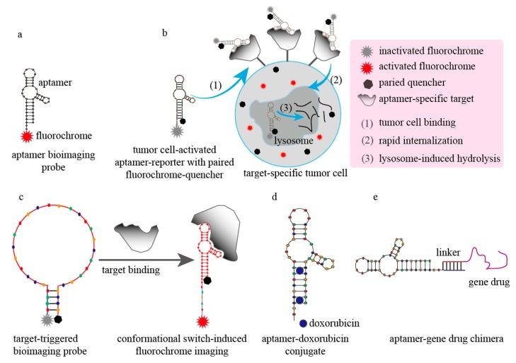 https://cdn.ncbi.nlm.nih.gov/pmc/blobs/7cdb/6331864/dc1f93b9d7ca/molecules-20-11959-g004.jpg