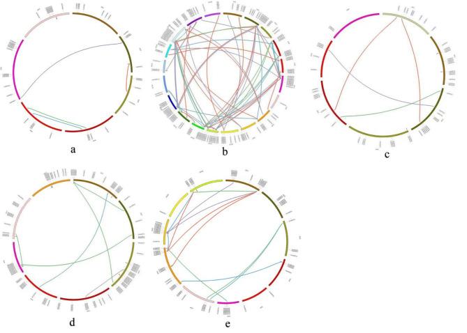 https://cdn.ncbi.nlm.nih.gov/pmc/blobs/7cdc/11846295/77091cb1d3fa/12864_2025_11224_Fig3_HTML.jpg