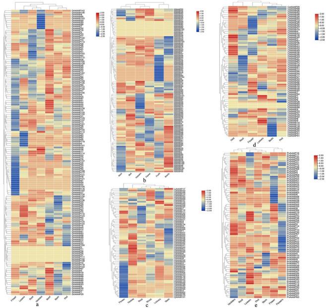 https://cdn.ncbi.nlm.nih.gov/pmc/blobs/7cdc/11846295/ea793dd105e0/12864_2025_11224_Fig5_HTML.jpg