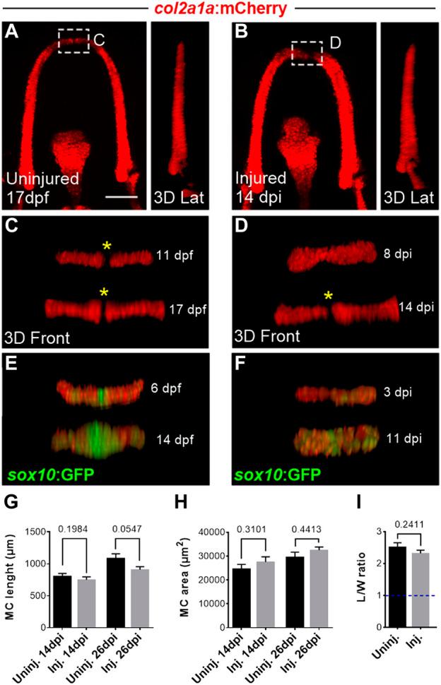 https://cdn.ncbi.nlm.nih.gov/pmc/blobs/7cde/10192884/9f999a7adac8/fcell-11-1123299-g002.jpg