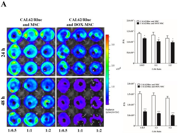 https://cdn.ncbi.nlm.nih.gov/pmc/blobs/7cde/6036160/9c1e793c775a/ijmsv15p1051g003.jpg