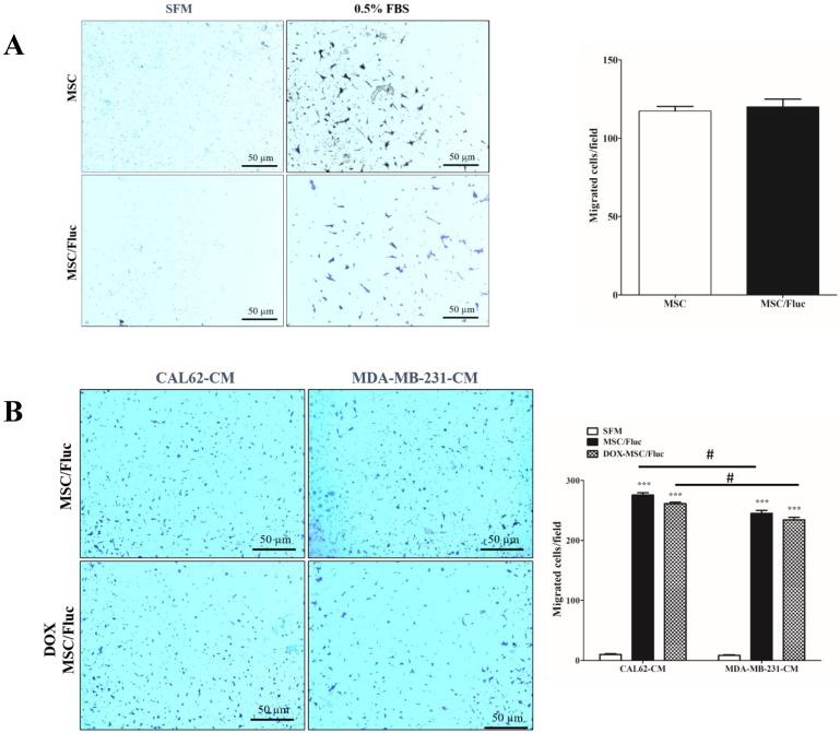 https://cdn.ncbi.nlm.nih.gov/pmc/blobs/7cde/6036160/b28c9ec75861/ijmsv15p1051g002.jpg