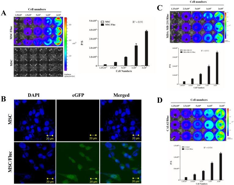 https://cdn.ncbi.nlm.nih.gov/pmc/blobs/7cde/6036160/e642abe624db/ijmsv15p1051g001.jpg
