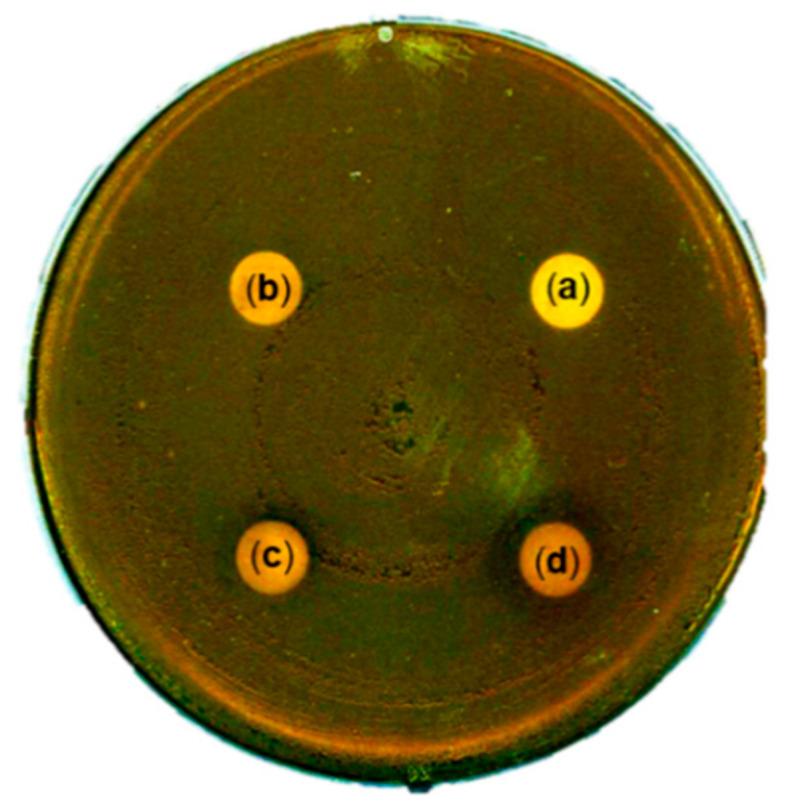 https://cdn.ncbi.nlm.nih.gov/pmc/blobs/7ce0/7761664/004c08aa4ab4/plants-09-01701-g004.jpg