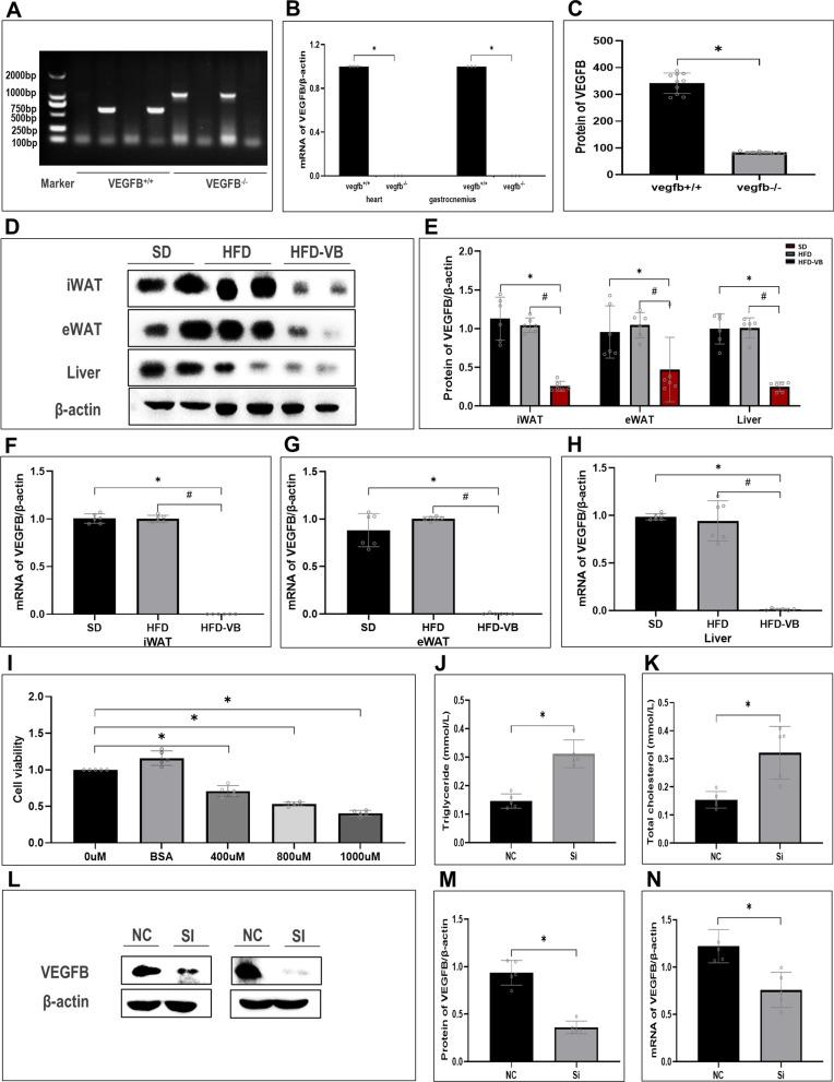 https://cdn.ncbi.nlm.nih.gov/pmc/blobs/7ce0/9338666/26e0165a6698/12967_2022_3540_Fig2_HTML.jpg