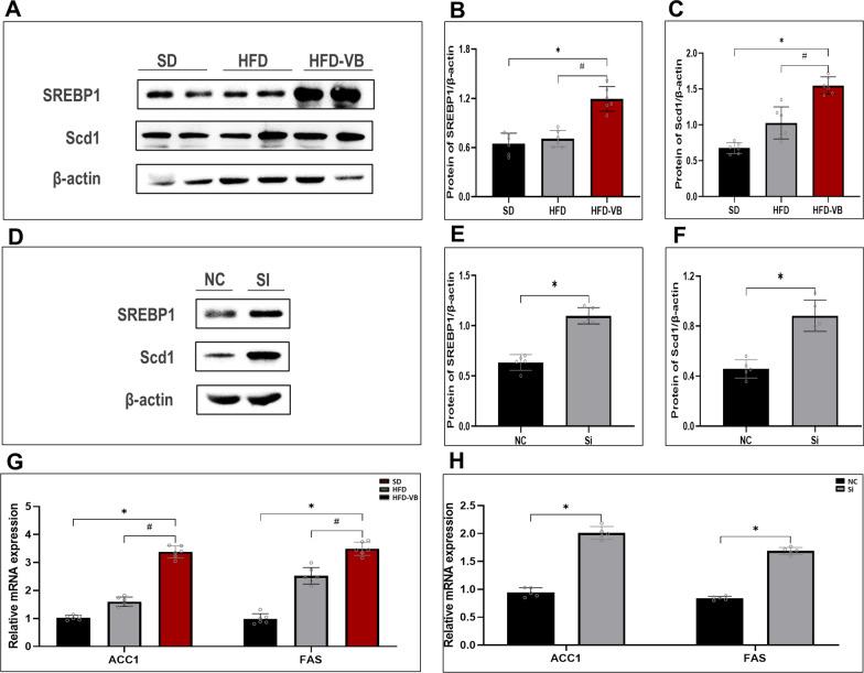 https://cdn.ncbi.nlm.nih.gov/pmc/blobs/7ce0/9338666/5b964b9ed67e/12967_2022_3540_Fig9_HTML.jpg