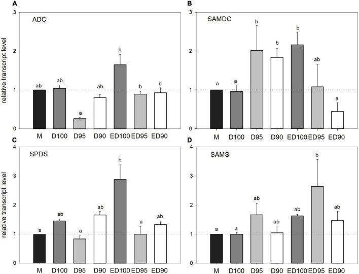 https://cdn.ncbi.nlm.nih.gov/pmc/blobs/7ce0/9372446/7253067954ac/fpls-13-968982-g009.jpg