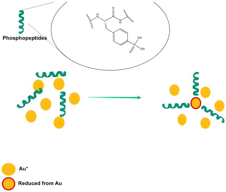 https://cdn.ncbi.nlm.nih.gov/pmc/blobs/7ce1/11591867/68ef9fa441cf/bioengineering-11-01095-g003.jpg
