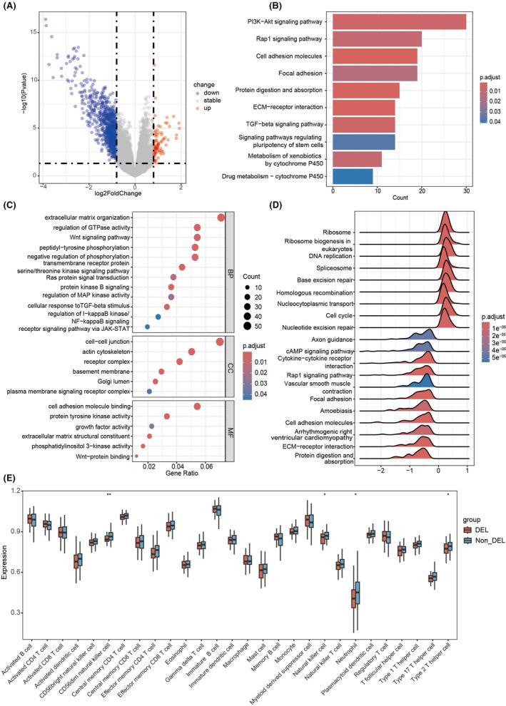 https://cdn.ncbi.nlm.nih.gov/pmc/blobs/7ce3/11711038/4940d8f860cf/CAS-116-257-g006.jpg