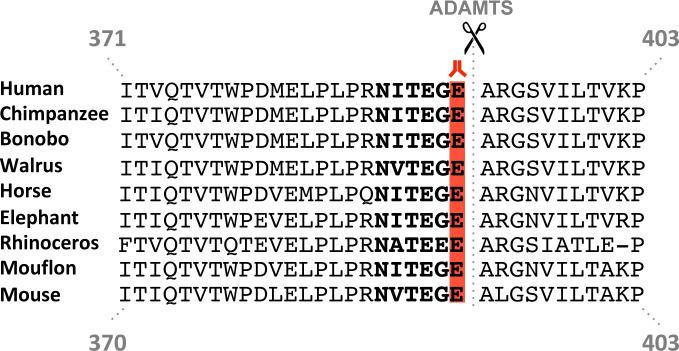 https://cdn.ncbi.nlm.nih.gov/pmc/blobs/7ce4/7529456/4354eeb6209f/elife-60683-fig3-figsupp1.jpg