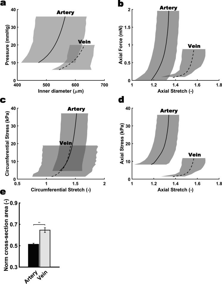 https://cdn.ncbi.nlm.nih.gov/pmc/blobs/7ce4/7529456/967e55ace02a/elife-60683-fig7-figsupp1.jpg