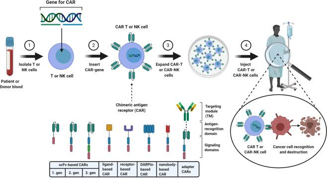 https://cdn.ncbi.nlm.nih.gov/pmc/blobs/7ce4/8455322/2b4e8bb11ba8/41434_2021_246_Fig1_HTML.jpg
