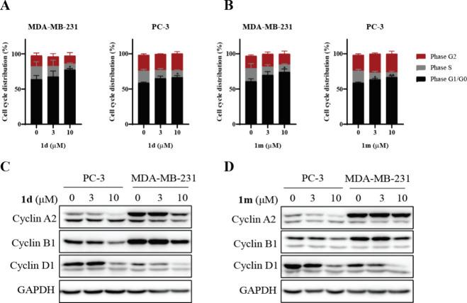 https://cdn.ncbi.nlm.nih.gov/pmc/blobs/7ce6/12079591/9f20e2529652/ao5c00262_0003.jpg