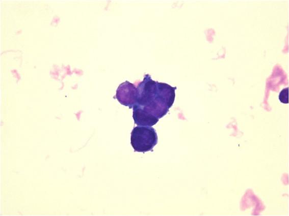 https://cdn.ncbi.nlm.nih.gov/pmc/blobs/7ce6/4131164/dc2ed299403b/s12883-014-0160-9-2.jpg