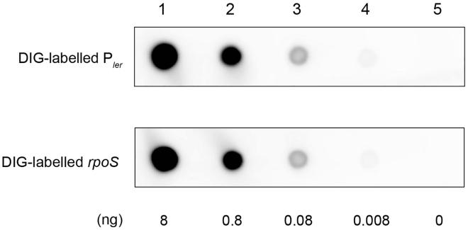 https://cdn.ncbi.nlm.nih.gov/pmc/blobs/7ce7/9530670/67f32691724e/gr4.jpg
