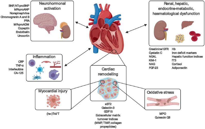 https://cdn.ncbi.nlm.nih.gov/pmc/blobs/7ce9/8898236/a45ff60bd8b5/10741_2021_10105_Fig2_HTML.jpg