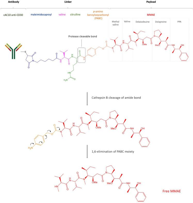 https://cdn.ncbi.nlm.nih.gov/pmc/blobs/7cec/9834635/db4eb022a22e/etat-03-1002112-g002.jpg