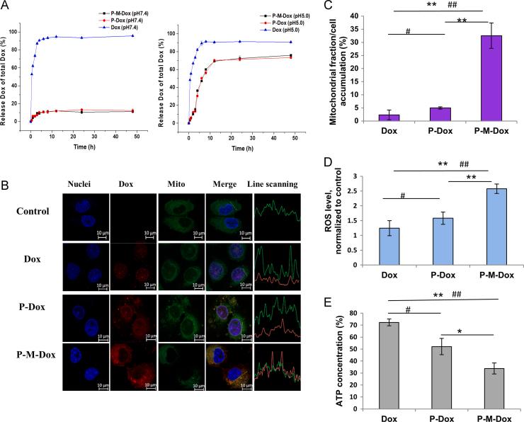 https://cdn.ncbi.nlm.nih.gov/pmc/blobs/7cef/6542785/6c3d2386dcd5/gr3.jpg